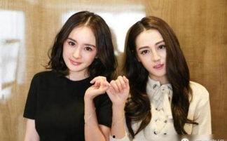 娱乐圈女主爆料的小说,揭开小说背后的真实故事